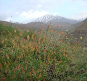 روستای نشتارود و قله خونکار