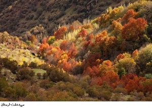 رنگ در رنگ در آبشار بیشه