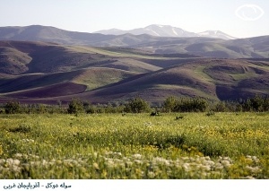 دالامپربهشت گمشده