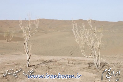 کویر لوت بخش نصرت آباد در استان سیستان و بلوچستان_7