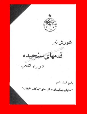 رويه جلد كتاب «شورش نه، قدمهاي سنجيده در راه انقلاب»