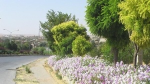 چادگان