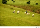 سوباتان - بهشتی دیگر