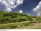 روستای انبوه