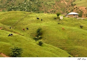 سوباتان - بهشتی دیگر